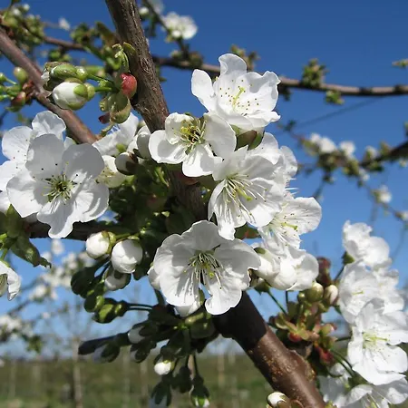 아파트 Am Luehedeich 요크