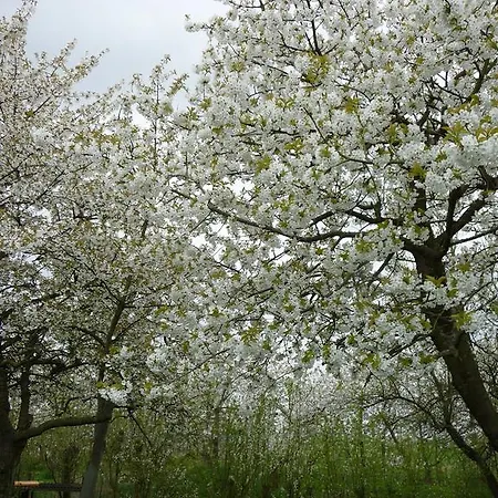 아파트 Am Luehedeich *