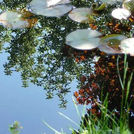 Am Luehedeich 요크