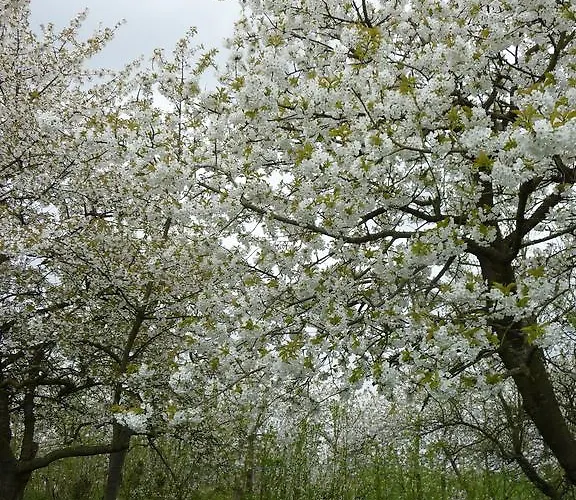 Lägenhet Am Luehedeich *