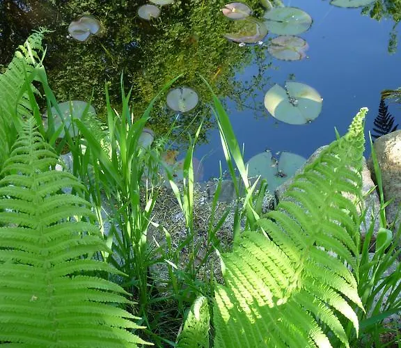 Lägenhet Am Luehedeich *